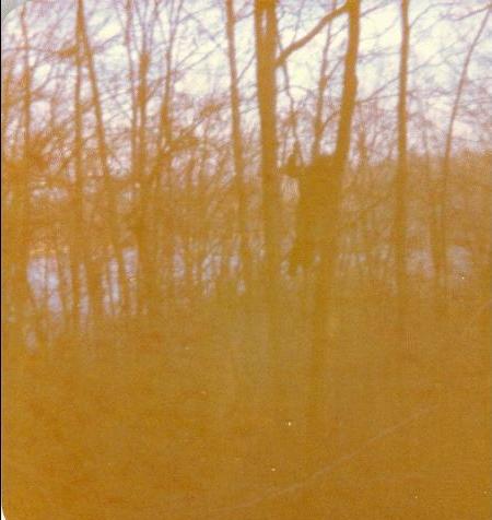 It is Winter Camp Universe Policy to not label pictures in our galleries