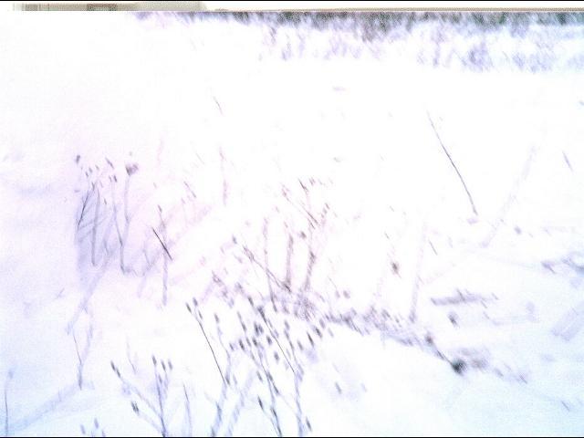 It is Winter Camp Universe Policy to not label pictures in our galleries