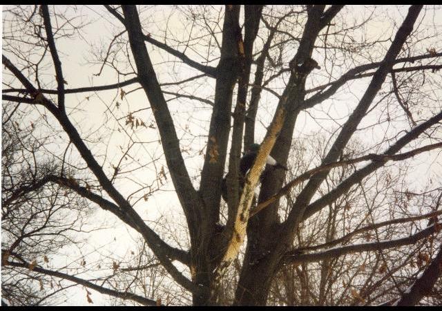 It is Winter Camp Universe Policy to not label pictures in our galleries