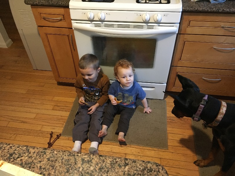 It is Winter Camp Universe Policy to not label pictures in our galleries