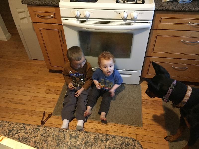 It is Winter Camp Universe Policy to not label pictures in our galleries