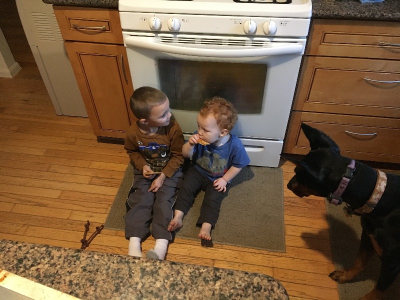 It is Winter Camp Universe Policy to not label pictures in our galleries