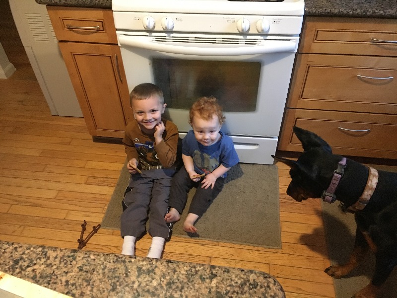 It is Winter Camp Universe Policy to not label pictures in our galleries