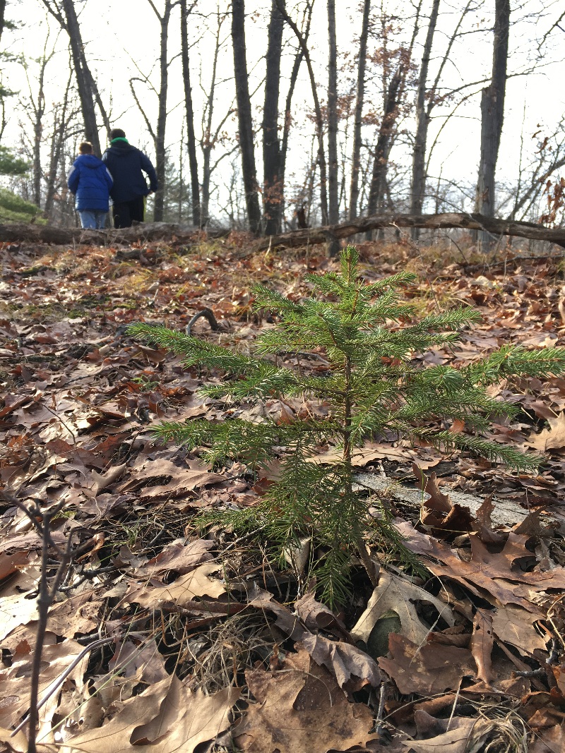 It is Winter Camp Universe Policy to not label pictures in our galleries