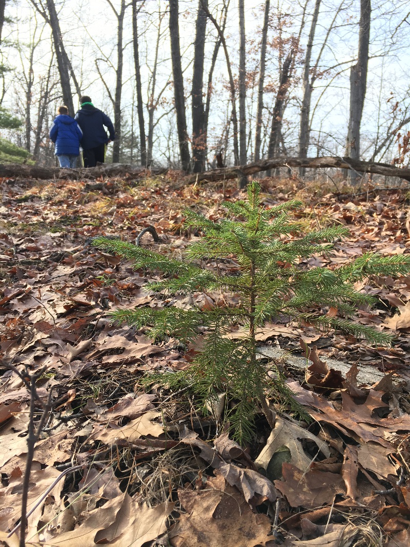 It is Winter Camp Universe Policy to not label pictures in our galleries