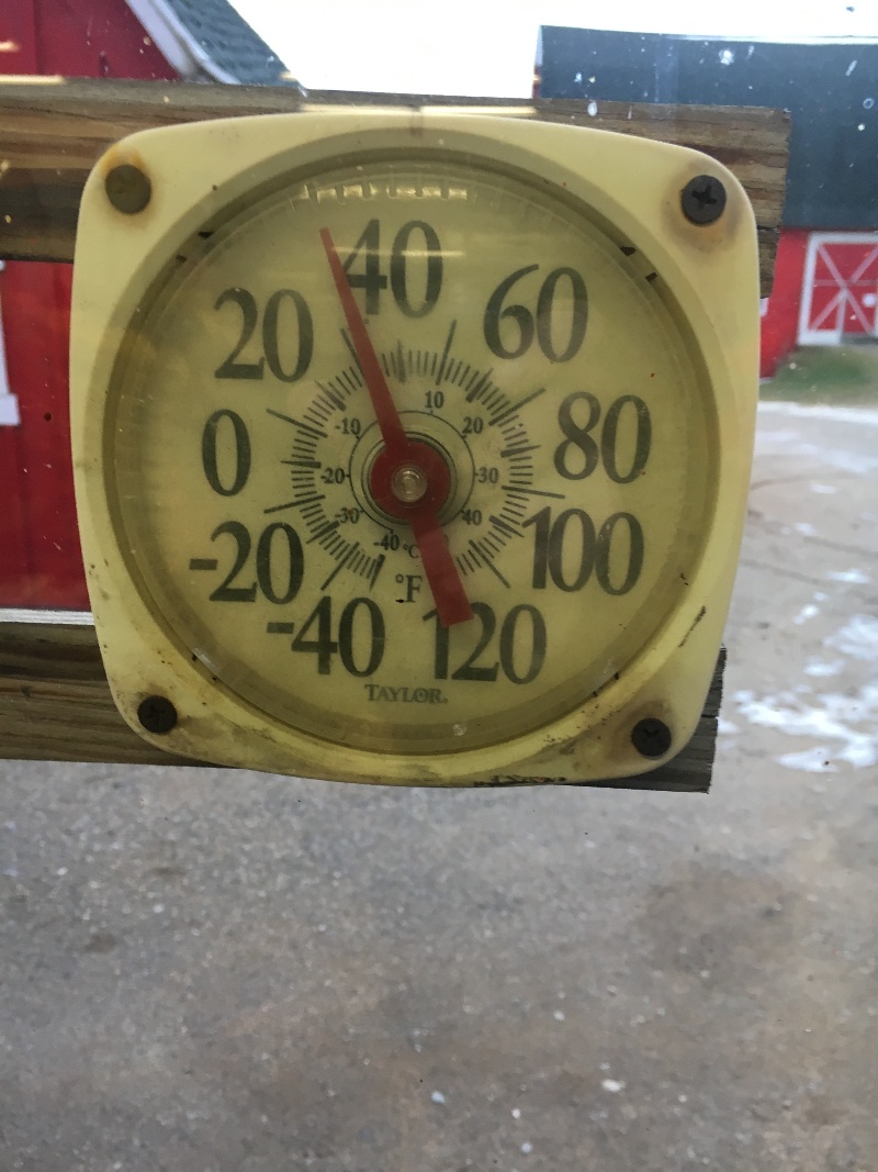 It is Winter Camp Universe Policy to not label pictures in our galleries