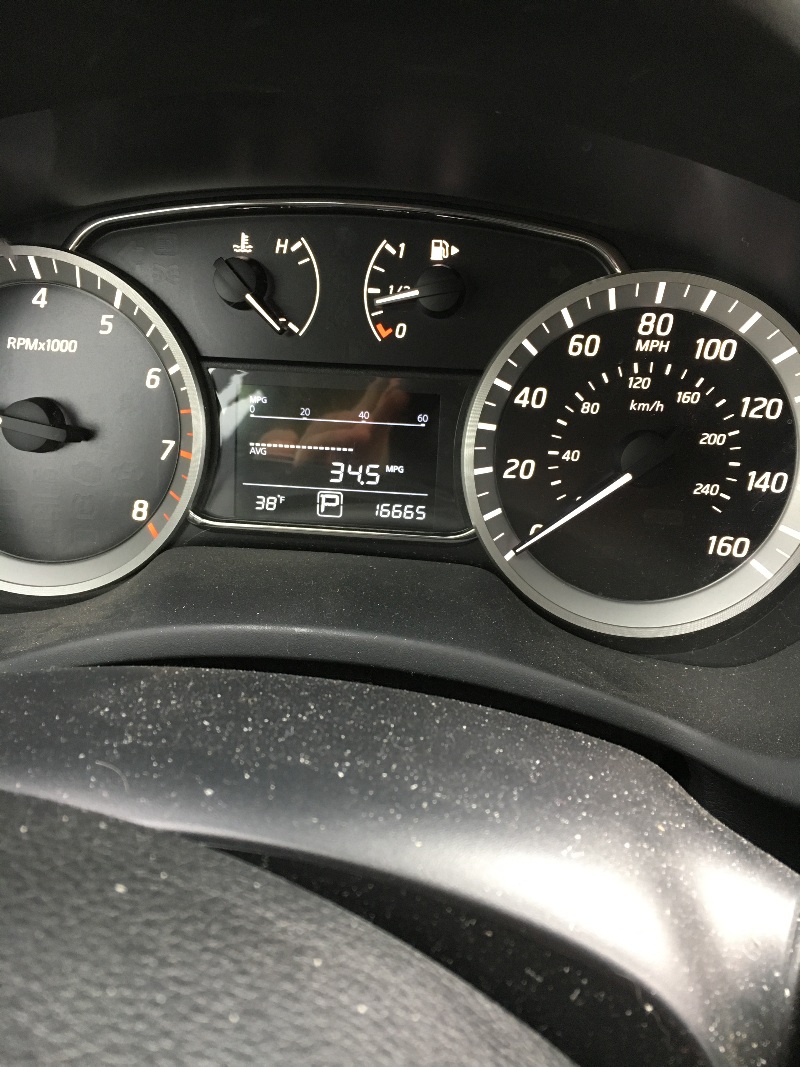 It is Winter Camp Universe Policy to not label pictures in our galleries