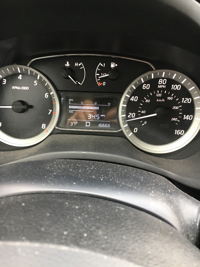 It is Winter Camp Universe Policy to not label pictures in our galleries