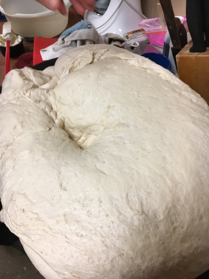 It is Winter Camp Universe Policy to not label pictures in our galleries