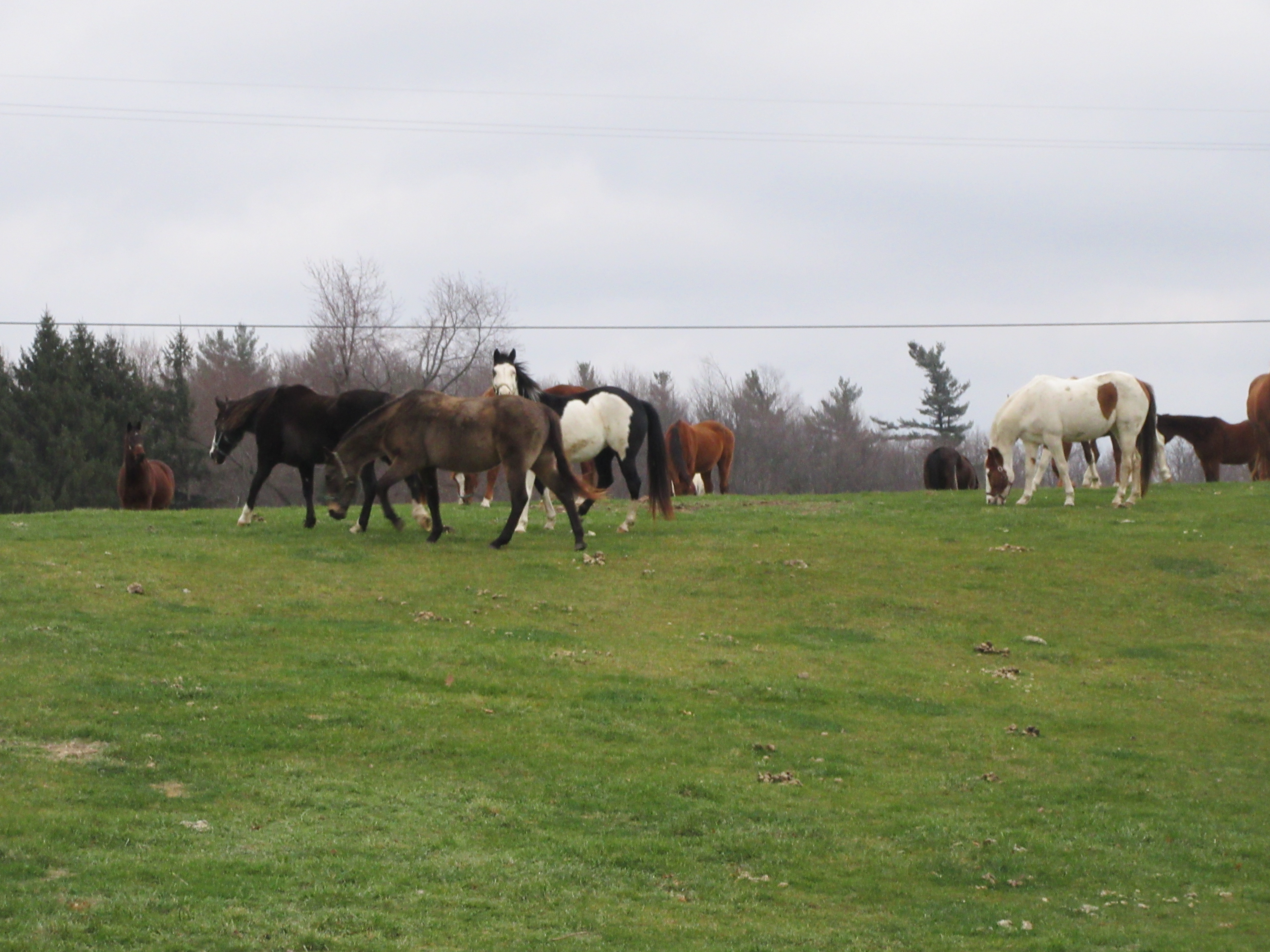It is Winter Camp Universe Policy to not label pictures in our galleries