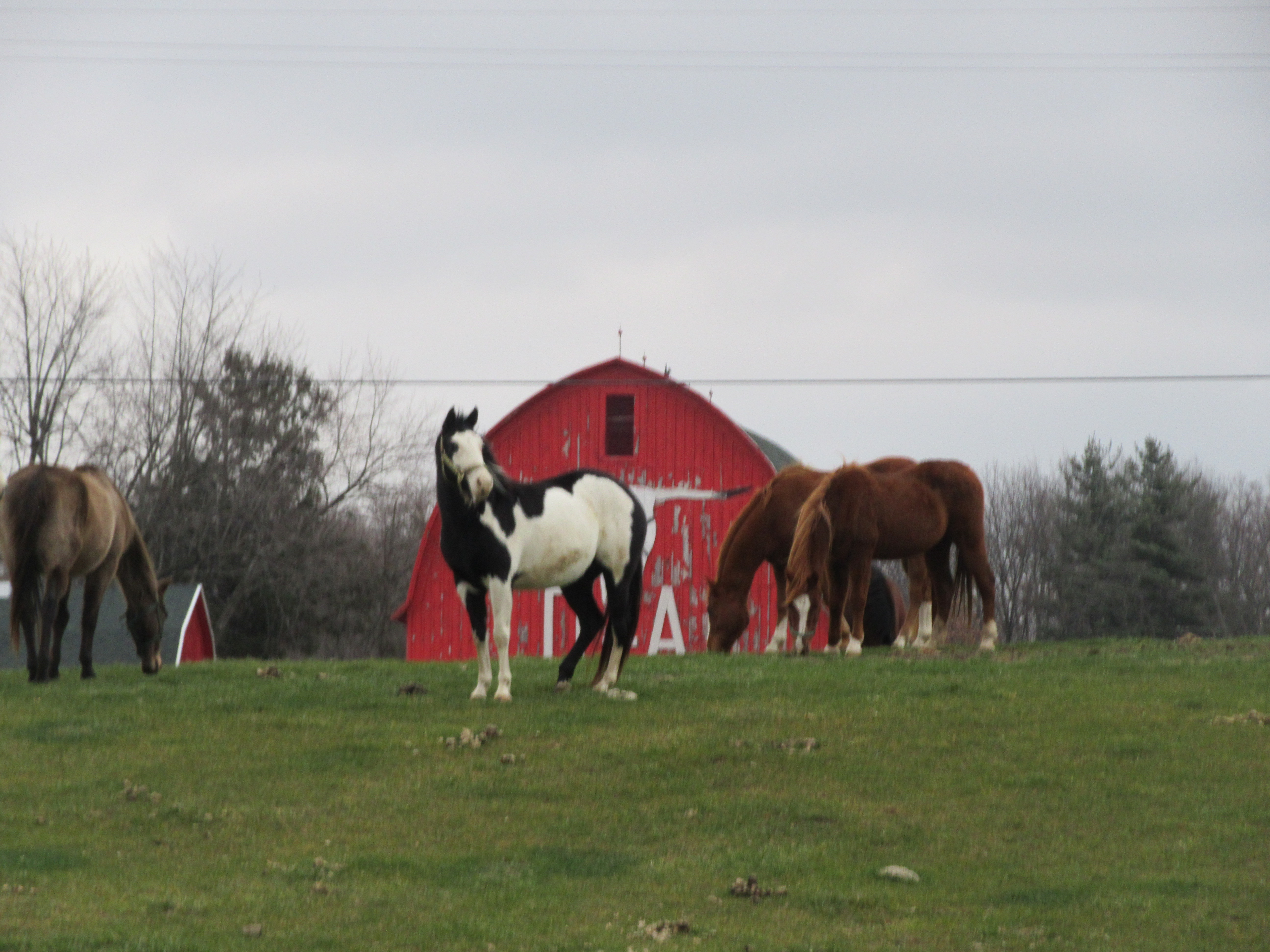 It is Winter Camp Universe Policy to not label pictures in our galleries