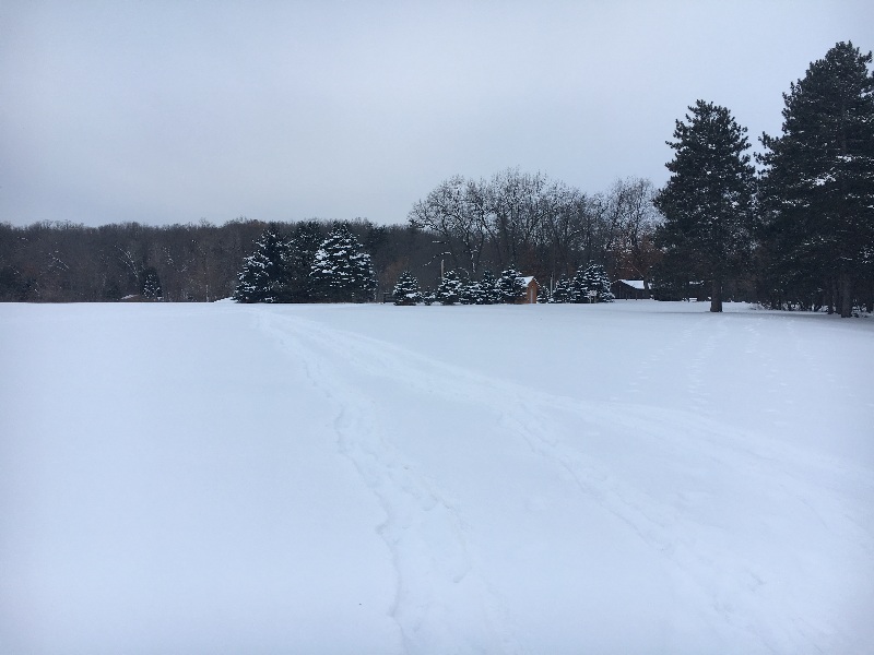 It is Winter Camp Universe Policy to not label pictures in our galleries