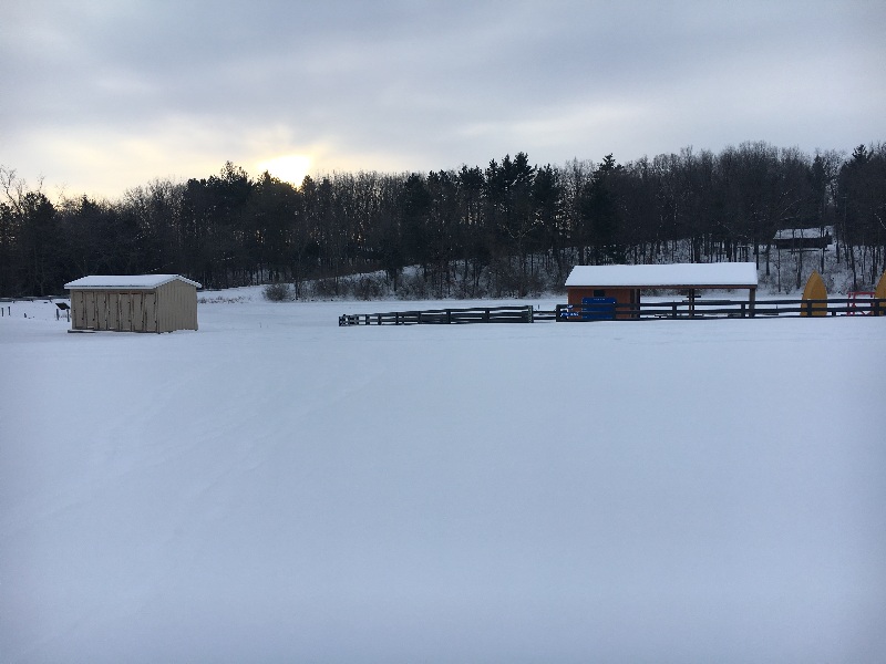 It is Winter Camp Universe Policy to not label pictures in our galleries