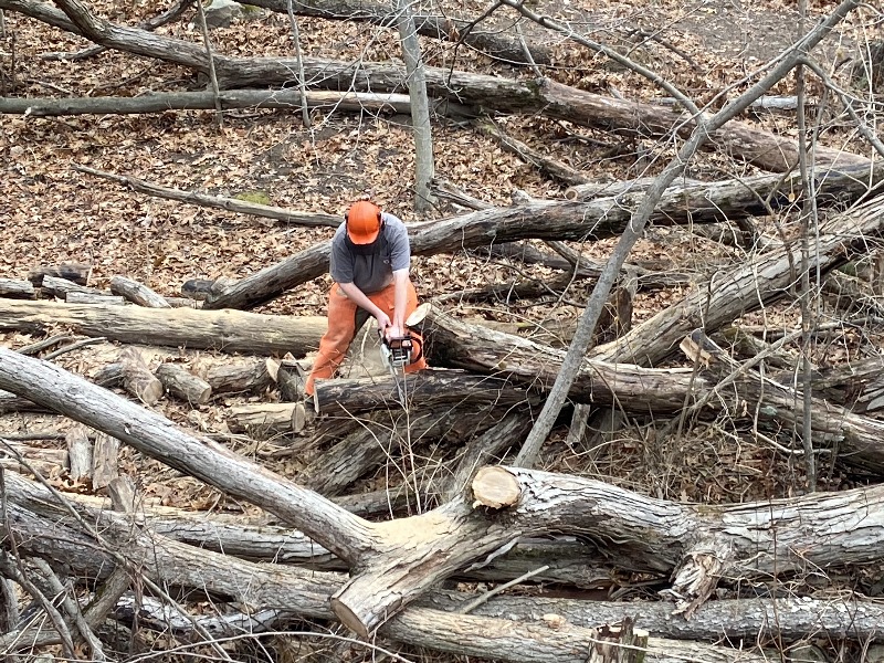 It is Winter Camp Universe Policy to not label pictures in our galleries