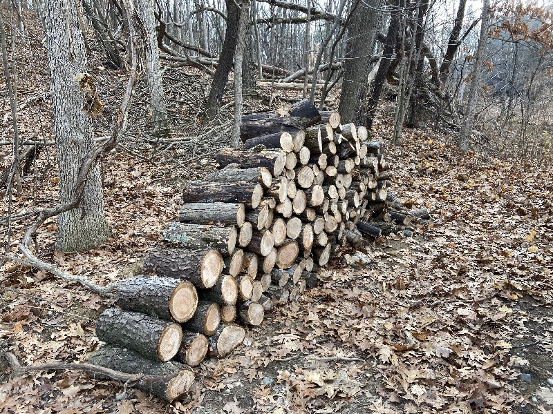 It is Winter Camp Universe Policy to not label pictures in our galleries