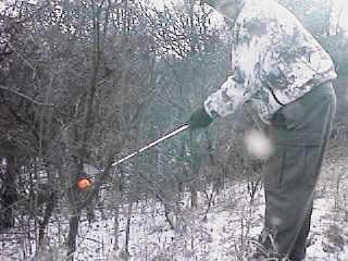 It is Winter Camp Universe Policy to not label pictures in our galleries