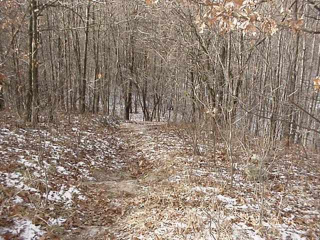 It is Winter Camp Universe Policy to not label pictures in our galleries