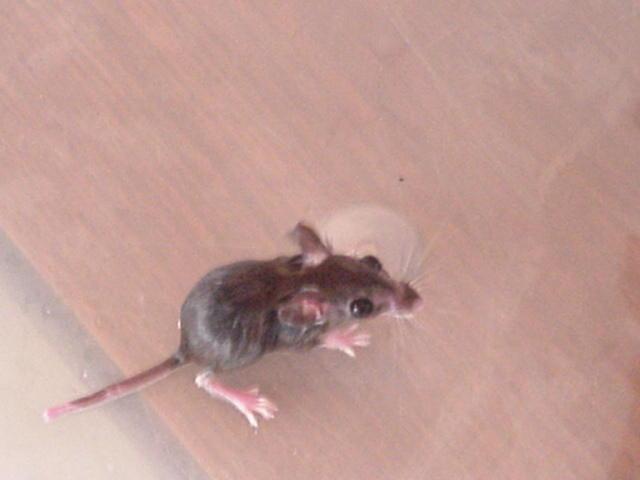 It is Winter Camp Universe Policy to not label pictures in our galleries