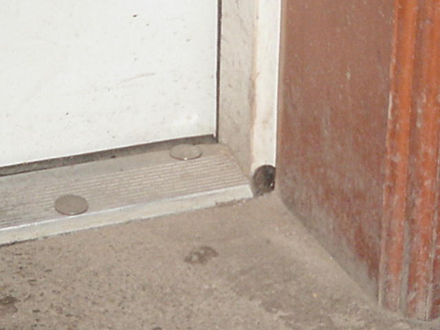 It is Winter Camp Universe Policy to not label pictures in our galleries