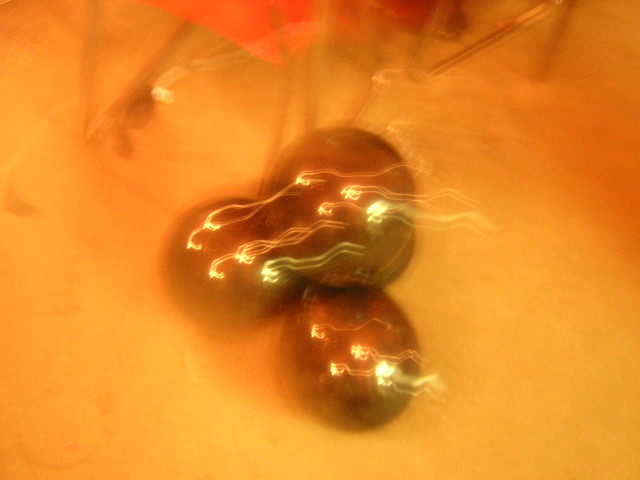 It is Winter Camp Universe Policy to not label pictures in our galleries