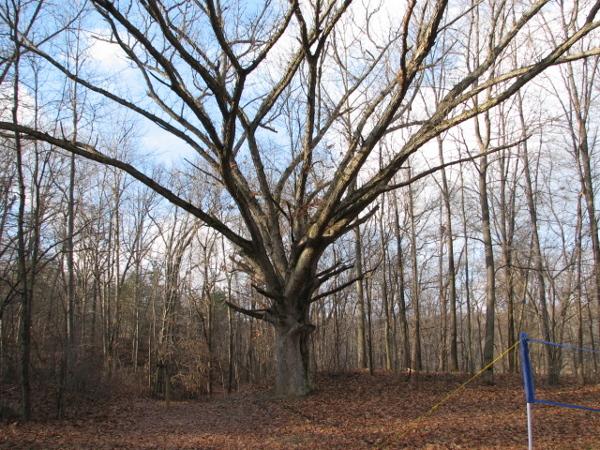 It is Winter Camp Universe Policy to not label pictures in our galleries