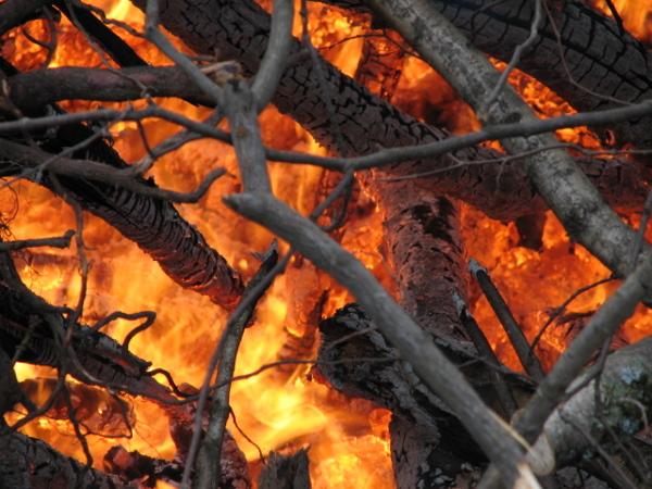 It is Winter Camp Universe Policy to not label pictures in our galleries