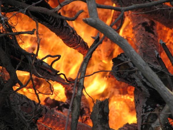 It is Winter Camp Universe Policy to not label pictures in our galleries