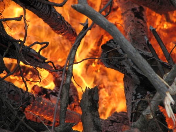 It is Winter Camp Universe Policy to not label pictures in our galleries