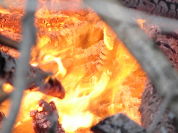 It is Winter Camp Universe Policy to not label pictures in our galleries