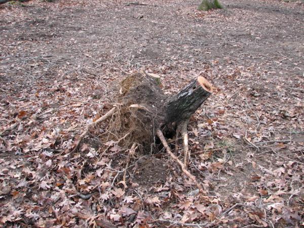 It is Winter Camp Universe Policy to not label pictures in our galleries