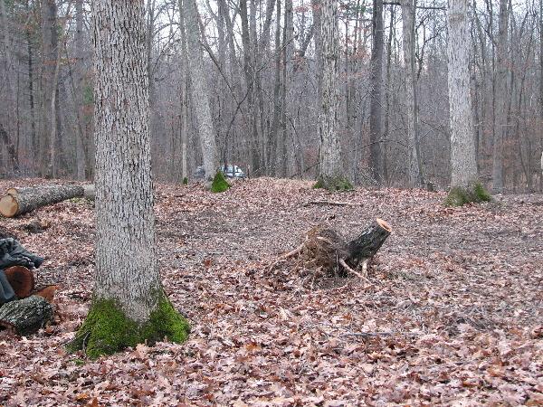 It is Winter Camp Universe Policy to not label pictures in our galleries