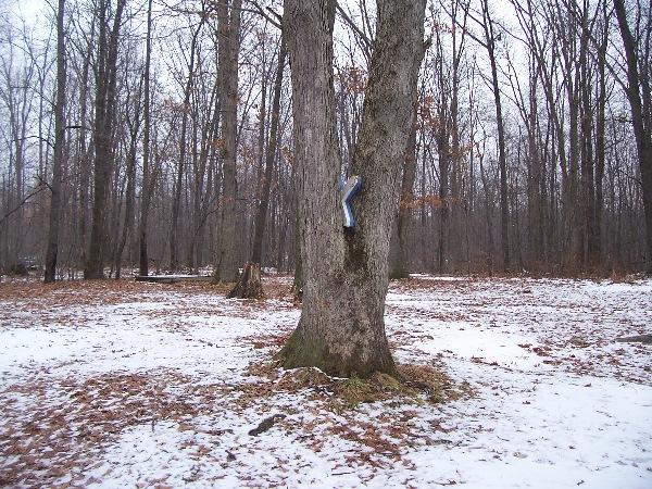 It is Winter Camp Universe Policy to not label pictures in our galleries