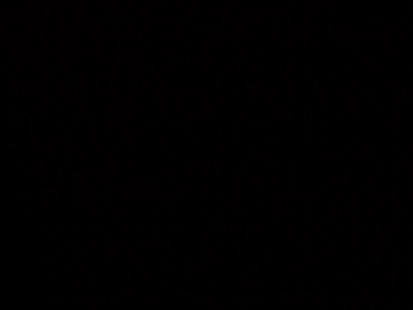 It is Winter Camp Universe Policy to not label pictures in our galleries