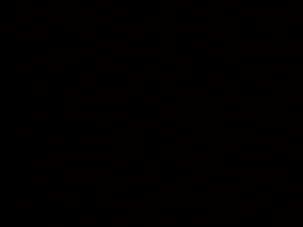 It is Winter Camp Universe Policy to not label pictures in our galleries