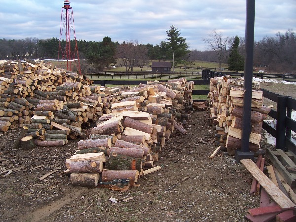 It is Winter Camp Universe Policy to not label pictures in our galleries