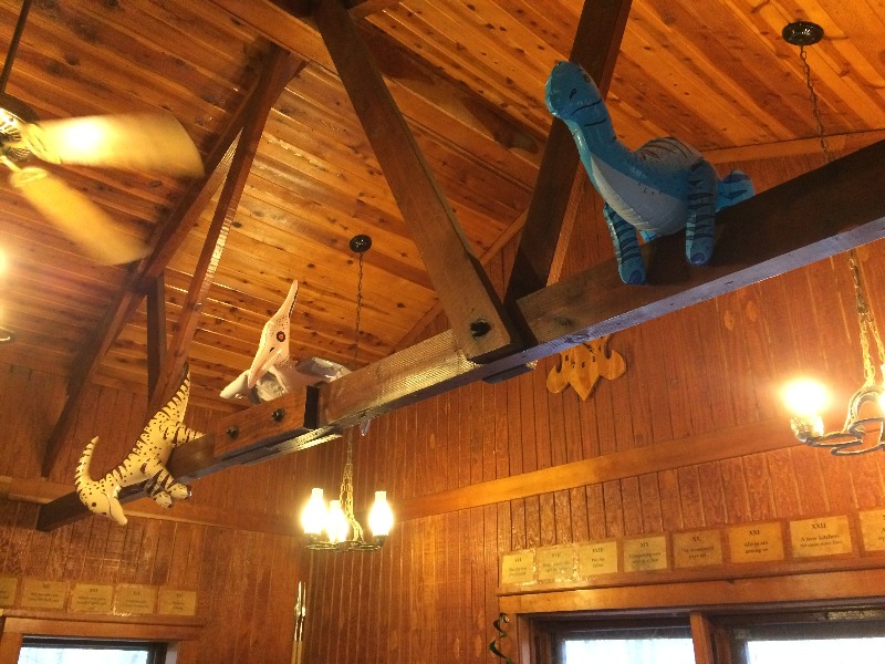 It is Winter Camp Universe Policy to not label pictures in our galleries