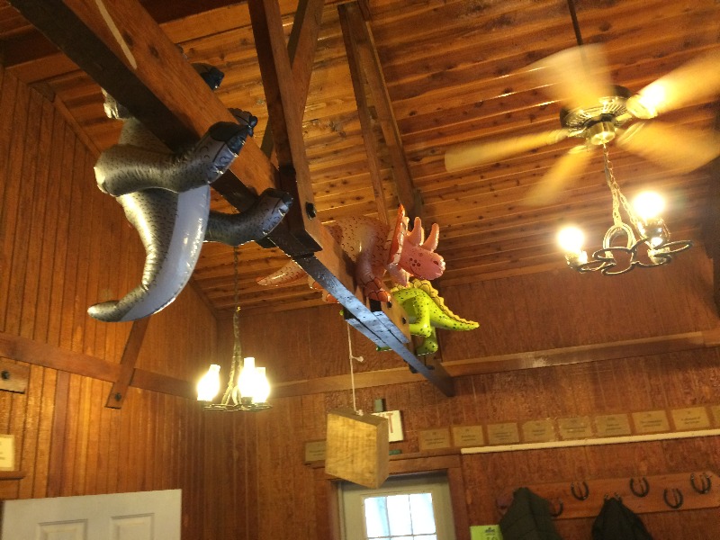 It is Winter Camp Universe Policy to not label pictures in our galleries