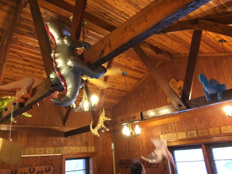 It is Winter Camp Universe Policy to not label pictures in our galleries