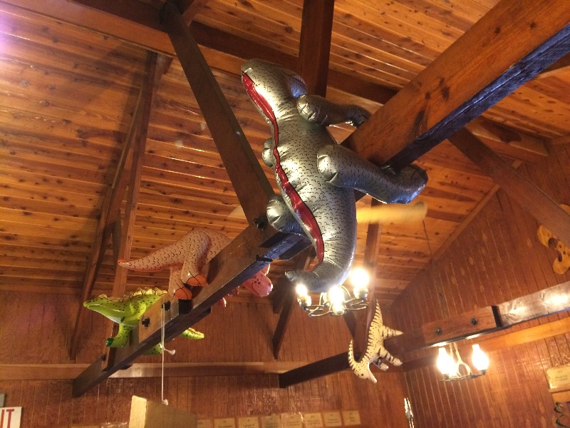 It is Winter Camp Universe Policy to not label pictures in our galleries