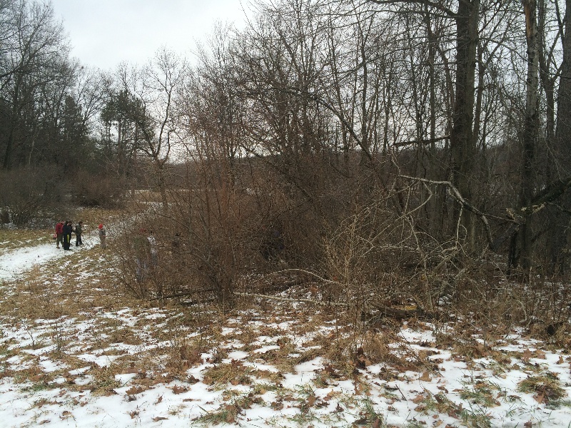 It is Winter Camp Universe Policy to not label pictures in our galleries