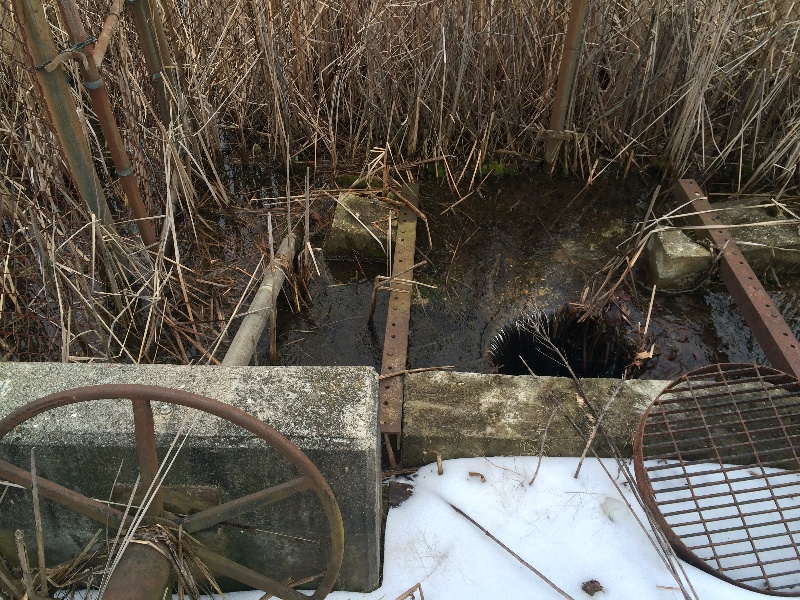 It is Winter Camp Universe Policy to not label pictures in our galleries