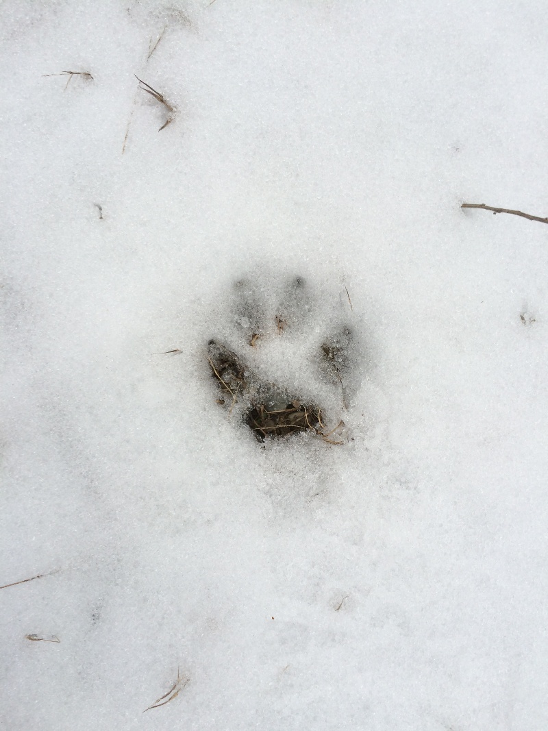 It is Winter Camp Universe Policy to not label pictures in our galleries