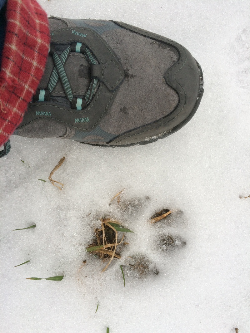 It is Winter Camp Universe Policy to not label pictures in our galleries