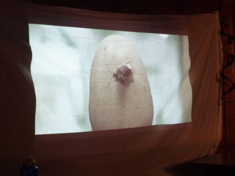 It is Winter Camp Universe Policy to not label pictures in our galleries