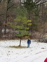 Thumbnail for xxxv/img_2013.jpg