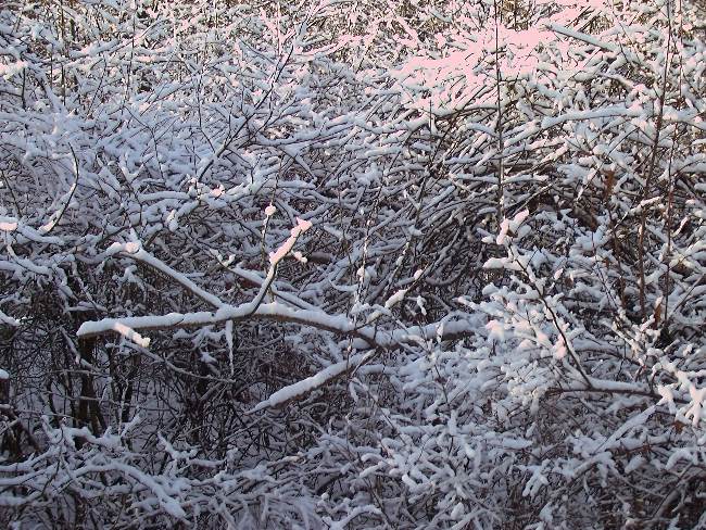 It is Winter Camp Universe Policy to not label pictures in our galleries