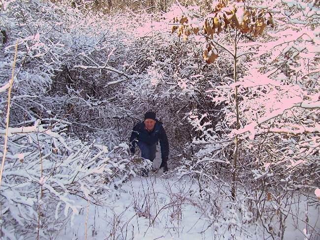 It is Winter Camp Universe Policy to not label pictures in our galleries