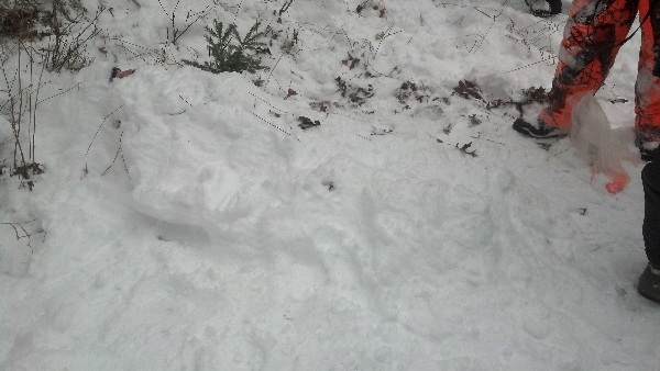 It is Winter Camp Universe Policy to not label pictures in our galleries