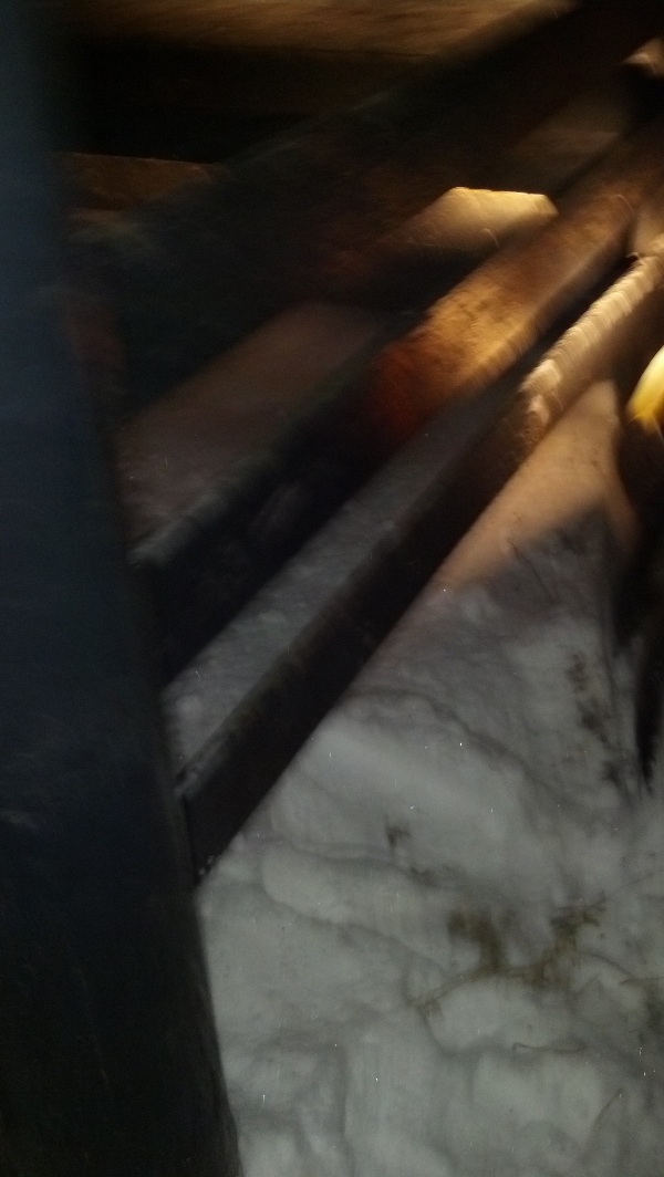 It is Winter Camp Universe Policy to not label pictures in our galleries