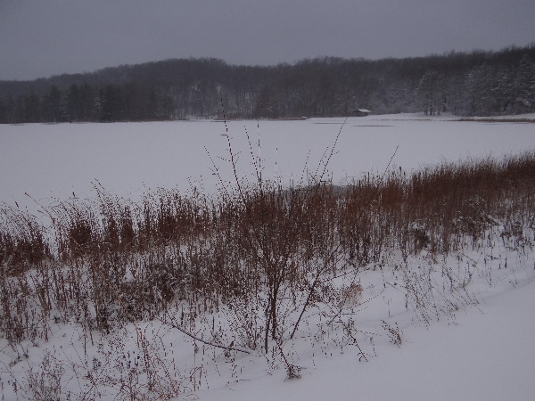 It is Winter Camp Universe Policy to not label pictures in our galleries